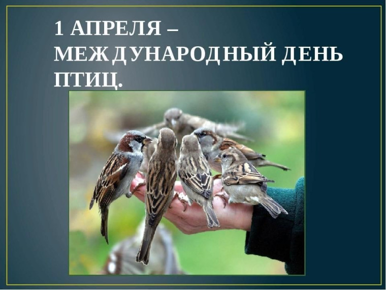 Международный день птиц.